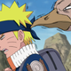 Long ago, the four ninjas lived together in harmony. Then, everything changed when the Animal Kingdom attacked...wait, wrong show.